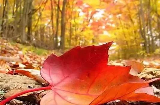 KUR PREMTON, NUK REALIZON!!