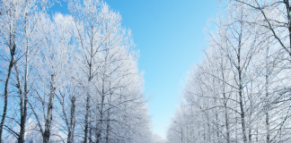 STINA E DIMRIT DHE MES’HU MBI MESTE