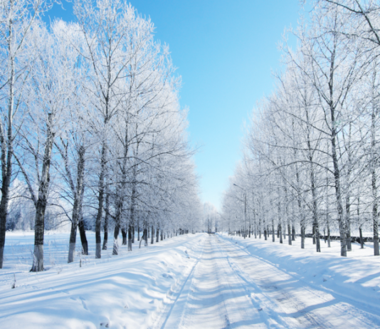 STINA E DIMRIT DHE MES’HU MBI MESTE