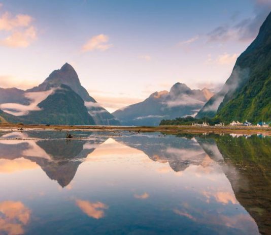 SHTATË GRUPET E SHPËTUARA