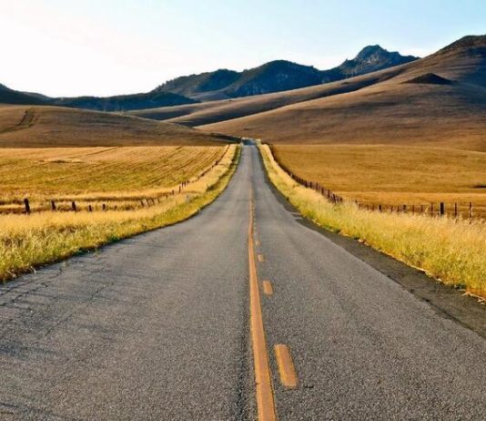 TË VENDOSËSH ËSHTË GJË DHE TË VEPROSH ËSHTË GJË TJETËR