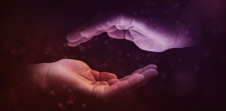 SHOQËRIA DHE VËLLAZËRIA