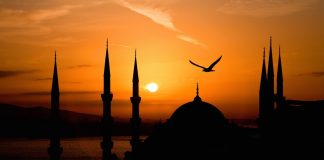 TË VËRTETAT QË MË ÇUAN DREJT UDHËZIMIT