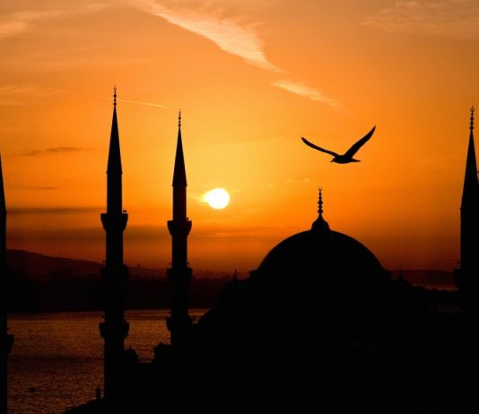 TË VËRTETAT QË MË ÇUAN DREJT UDHËZIMIT