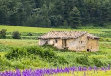 KUR E SHIKOVA GJYSHEN TIME