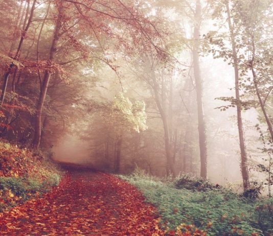 FUNDI I RRUGËS SË EPSHEVE