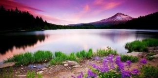 KUSH ËSHTË SHËMBËLLTYRË?