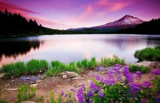 KUSH ËSHTË SHËMBËLLTYRË?