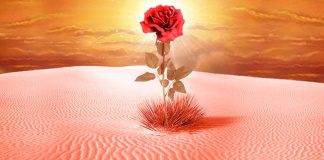 PËRMBYSJA E ASHIKËVE