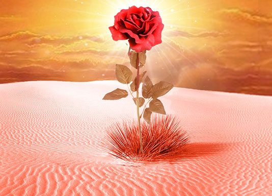 PËRMBYSJA E ASHIKËVE