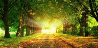 POROSI DREJTUAR ÇDO PRINDI DHE EDUKATORI