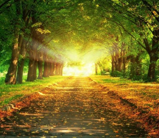 POROSI DREJTUAR ÇDO PRINDI DHE EDUKATORI