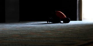 VEPRA TË MIRA  ME RASTIN E DHJETË DITËVE TË DHULHIXHES