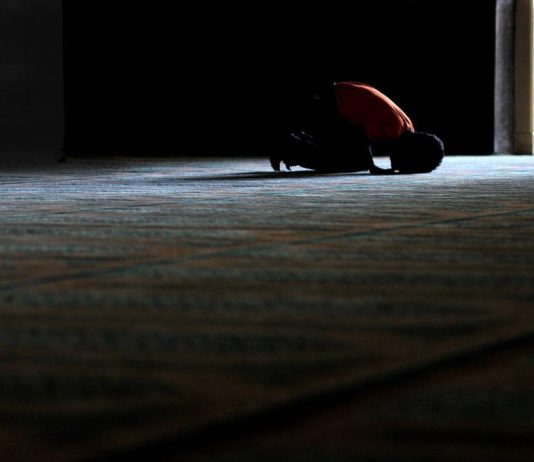 VEPRA TË MIRA ME RASTIN E DHJETË DITËVE TË DHULHIXHES