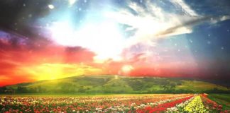 SI E SIGURON XHENETIN?