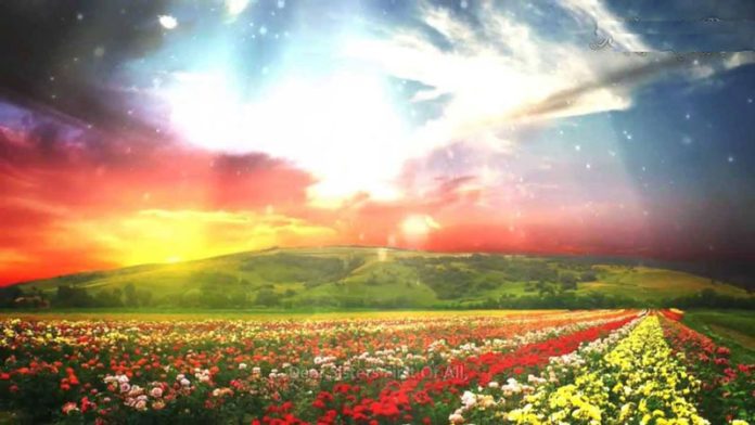 Jannah800__800x450