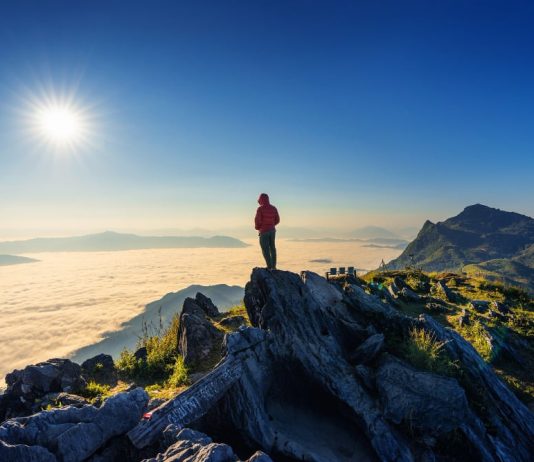 SHTATË GRUPET E SHPËTUARA