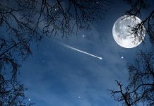 MUAJI MUHARREM DHE DITA E ASHURËS