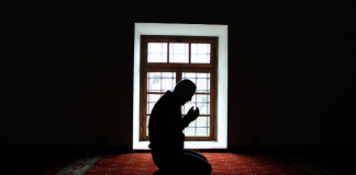 DUAJA DHE DOBITË E SAJ