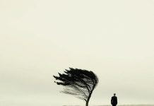 QARTËSIMI I SHKAQEVE TË LUMTURISË