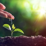 MJETET QË NDIHMOJNË NË LARGIMIN E MËRZISË