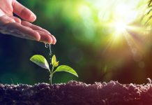 MJETET QË NDIHMOJNË NË LARGIMIN E MËRZISË