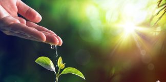 MJETET QË NDIHMOJNË NË LARGIMIN E MËRZISË