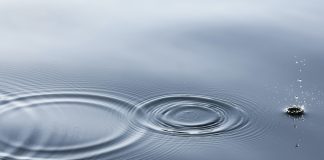 PARADOKSI DHE FORMAT E TIJ