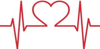 A E DI KUR VDES ZEMRA JOTE?!