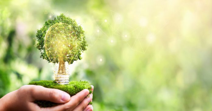 The-Negative-Impact-of-Deforestation-and-the-Paper-Industry-Featured-Image