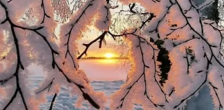 STINA E DIMRIT DHE MES’HU MBI MESTE