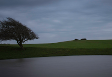VESVESET E SHEJTANIT DHE MBROJTJA PREJ TIJ