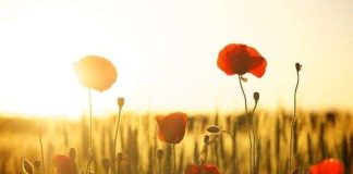 SHENJAT E PËRFUNDIMIT TË MIRË