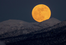 DHIKRI I MËNGJESIT DHE I MBRËMJES