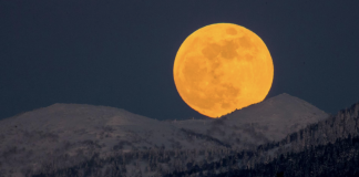 DHIKRI I MËNGJESIT DHE I MBRËMJES