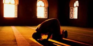 SEXHDJA E HARRESËS (SEVI SEXHDJA)