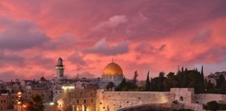 DIJA DHE DIJETARËT NË TOKAT E SHAMIT