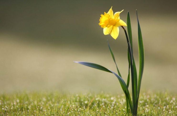 MIRËSIA ÇDOHERË E JEP FRYTIN E SAJ