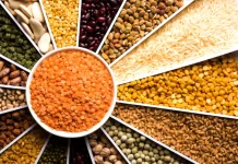 ZEKATI I FITRIT – RREGULLA DHE DOBI