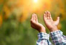 DUAJA DHE DOBITË E SAJ