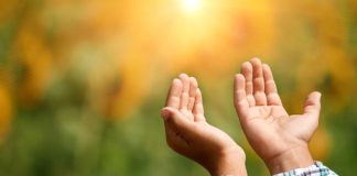 DUAJA DHE DOBITË E SAJ