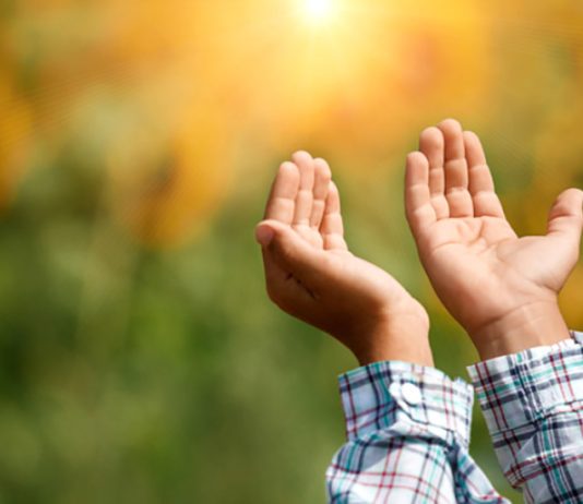 DUAJA DHE DOBITË E SAJ