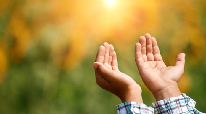 DUAJA DHE DOBITË E SAJ