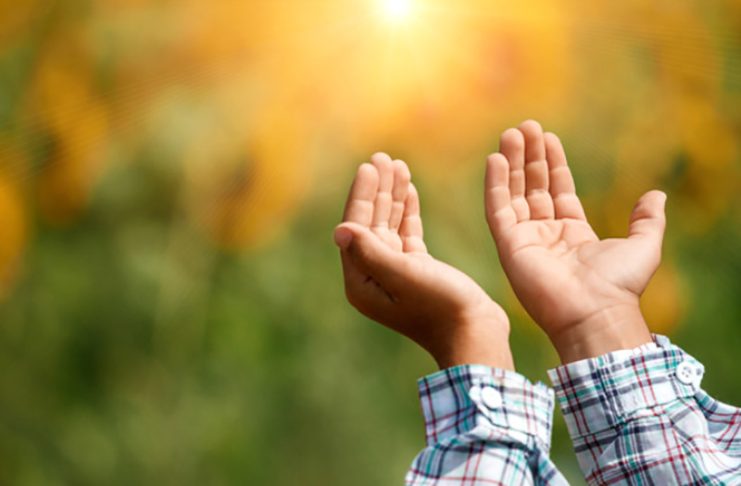 DUAJA DHE DOBITË E SAJ