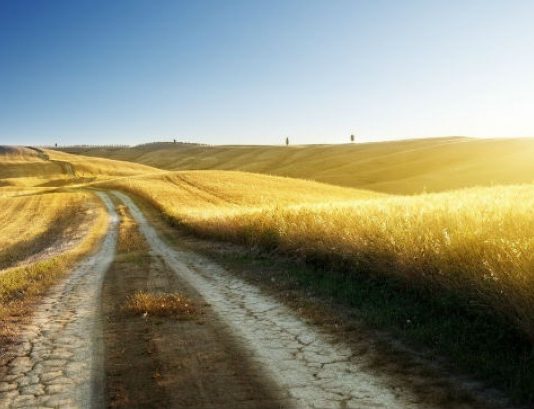 DISA RREGULLA SI TË MBROHEMI NGA EPSHI I NDALUAR (2)