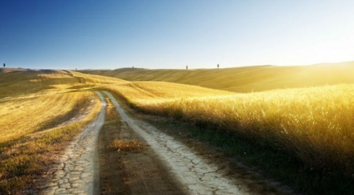DISA RREGULLA SI TË MBROHEMI NGA EPSHI I NDALUAR (3)
